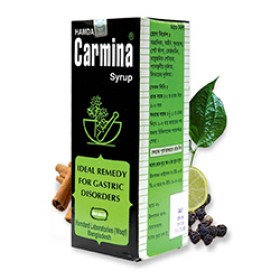 SYRUP CARMINA A herbal remedy for stomach unrest (450ml)
